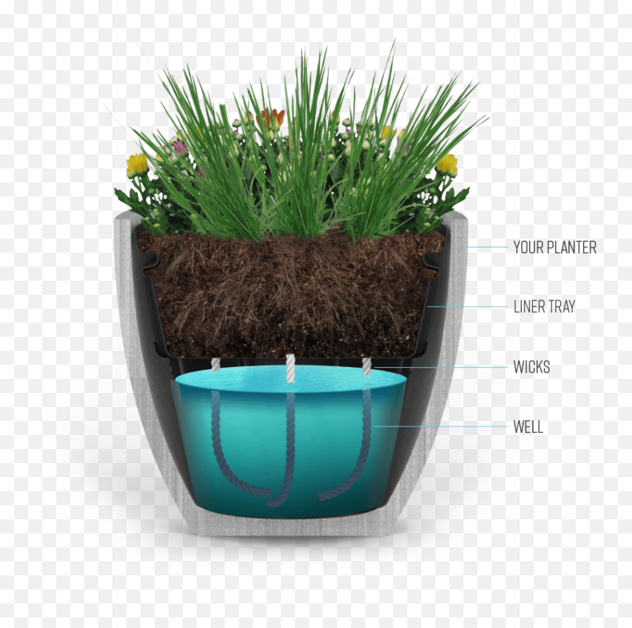 The Industries Best Self - Watering Solution Home Page Flowerpot Png,Planters Png