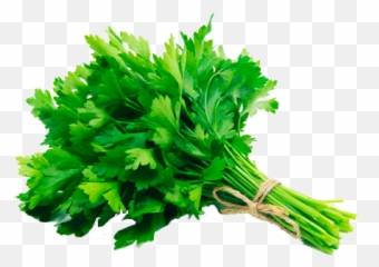 Salsa Organica Uni Png