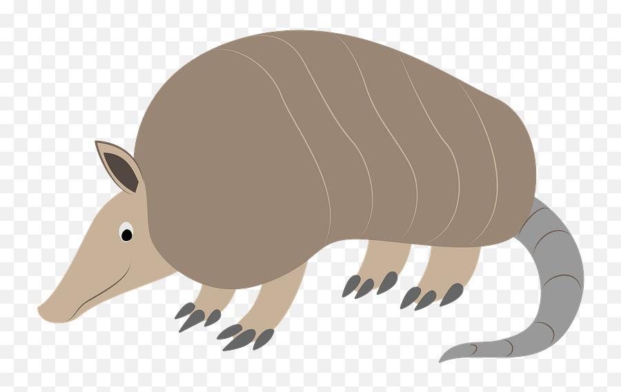 Armadillo Clipart - Big Png,Armadillo Png