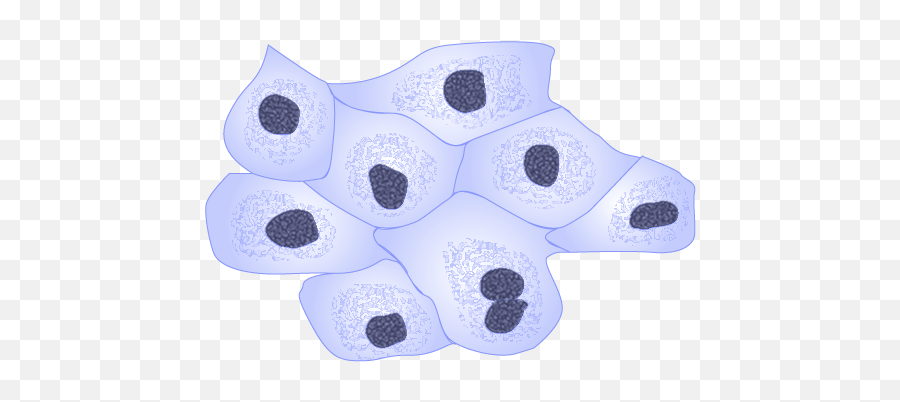 Filemdck Cellspng - Wikimedia Commons Dot,Cells Png