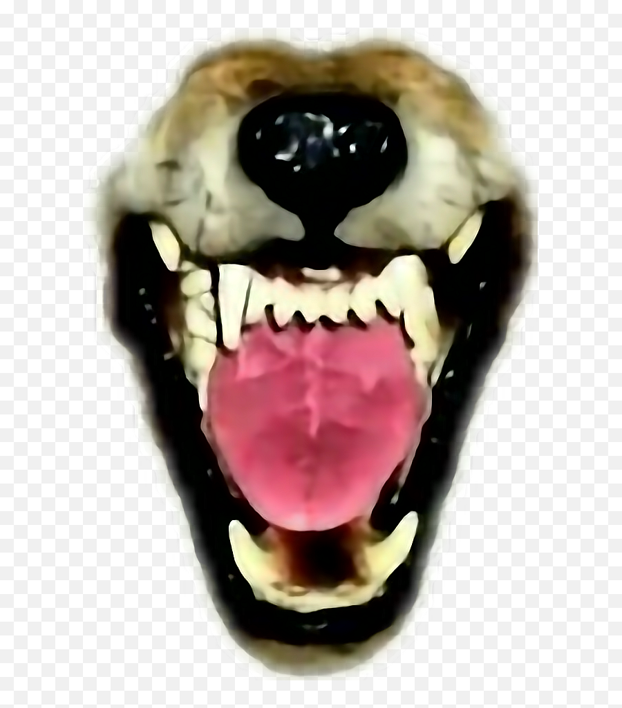 Wolf Ftestickers Mouth Teeth Fangs Snarl Werewolf - Transparent Wolf Teeth Png,Fangs Transparent