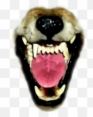 Wolf Ftestickers Mouth Teeth Fangs Snarl Werewolf - Transparent Wolf Teeth png