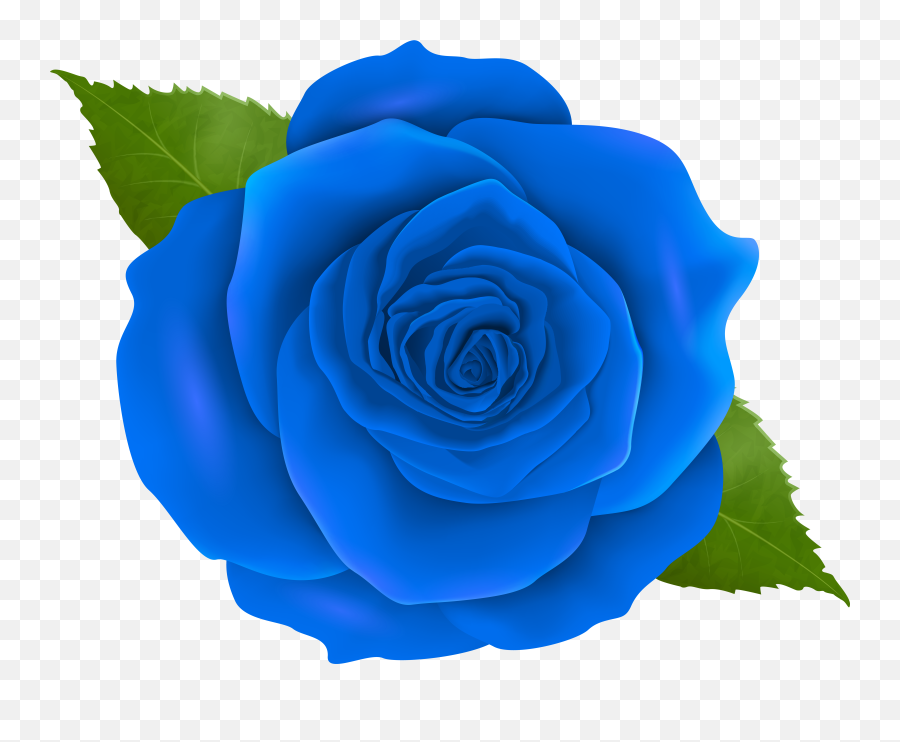 Blue Rose Clipart Png Transparent Background