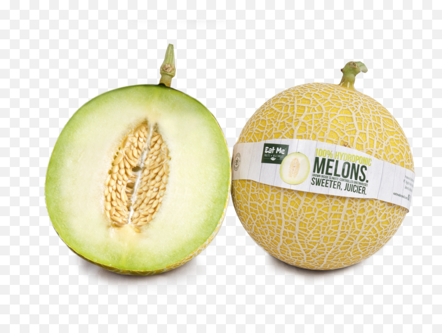 Baby Blonde Melon - Baby Blonde Melon Png,Cantaloupe Png