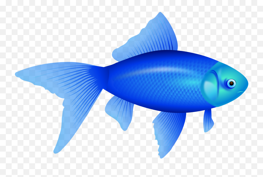 Fish Clipart Transparent Background - Blue Fish Png,Transparent Fish