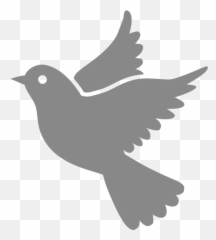 Dove Transparent Icon Png Image - Flying Love Birds Drawing,Dove Transparent