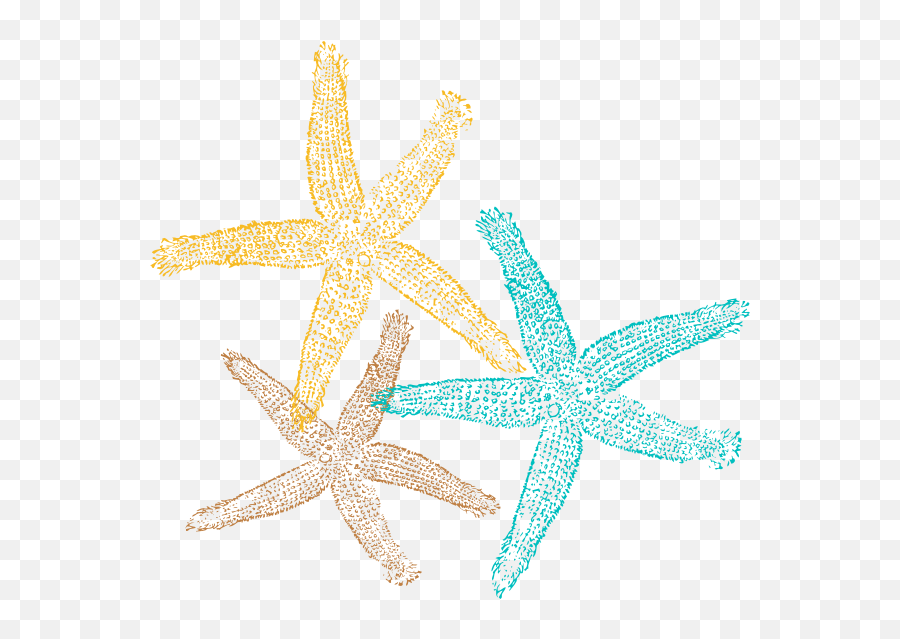Sea Star Png Pic - Starfish Clipart No Background High Transparent Background Starfish Clipart,Star Png Transparent Background