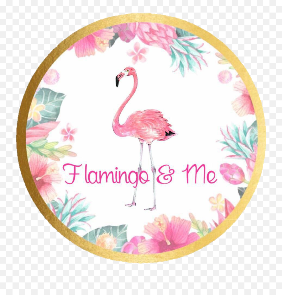 Home Flamingo U0026 Me - Floristeria Vanessa Png,Flamingo Transparent Background