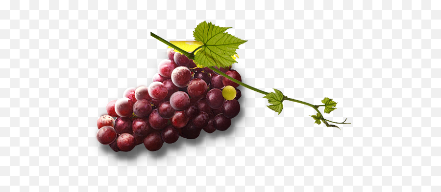 Grape Png Image Free Picture Download - Grape,Grapes Png