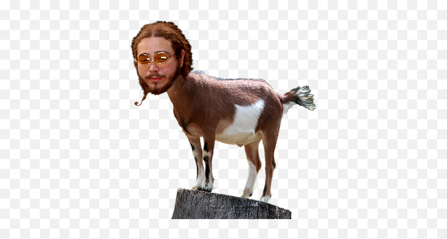Download Quote - Post Malone With Goats Png,Post Malone Png