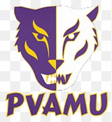 Prairie View Panthers Primary Logo - Prairie View University Flag Png,Am Logo