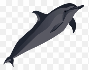 Index Of Blog - Zhwpcontentuploads201803 Png,Dolphin Clipart Png
