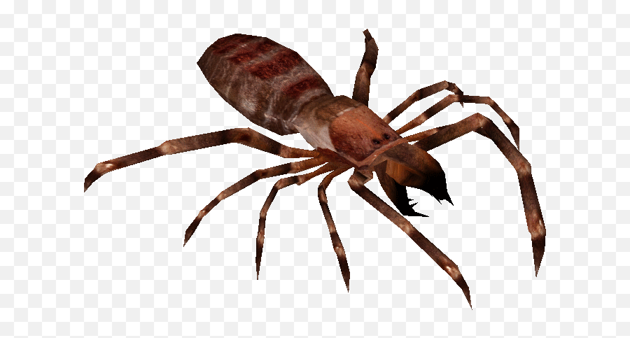 Camel Spider Tyranachu Zt2 Download Library Wiki Fandom - Spider Zoo Tycoon 2 Png,Spider Transparent