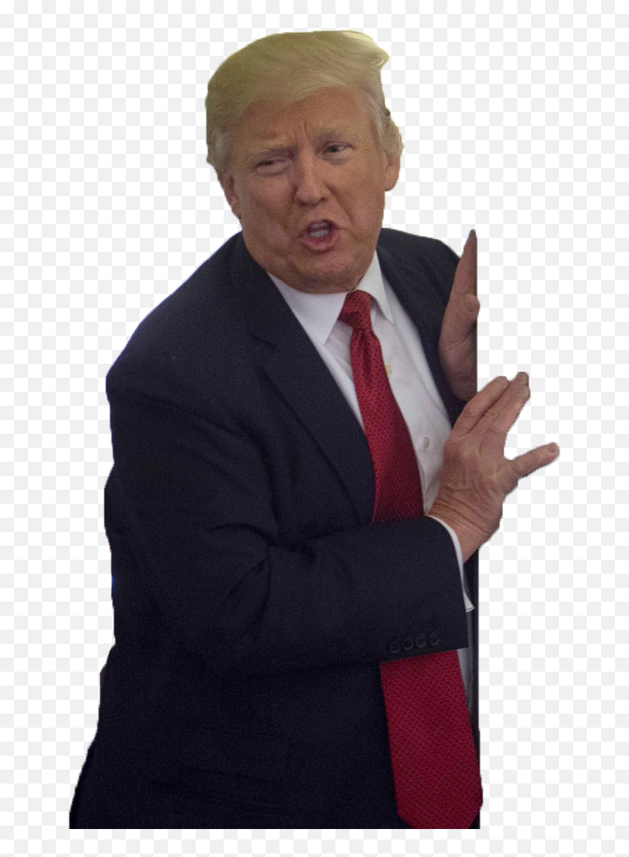 Donald Trump President Of The United - Trump Png Transparent,Donald Trump Transparent