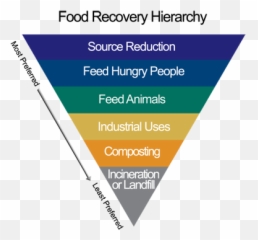 Albertsons Safeway Joins Epa And Usda Challenges To - Circular Economy Food Waste png