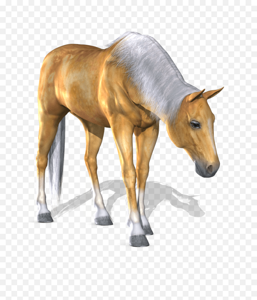 Horse Png Vector Hd Transparent Background Image For - 3d Horse Png,Horse Transparent Background