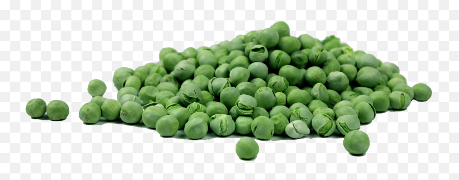 Download Hd Pea Png Image - Pantothenic Acid Transparent Png Dried Peas,Pea Png