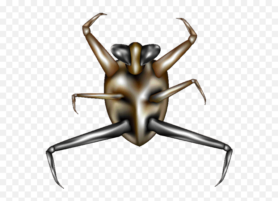 Top Bug Lady Mk Stickers For Android U0026 Ios Gfycat - Japanese Rhinoceros Beetle Png,Transparent Bug