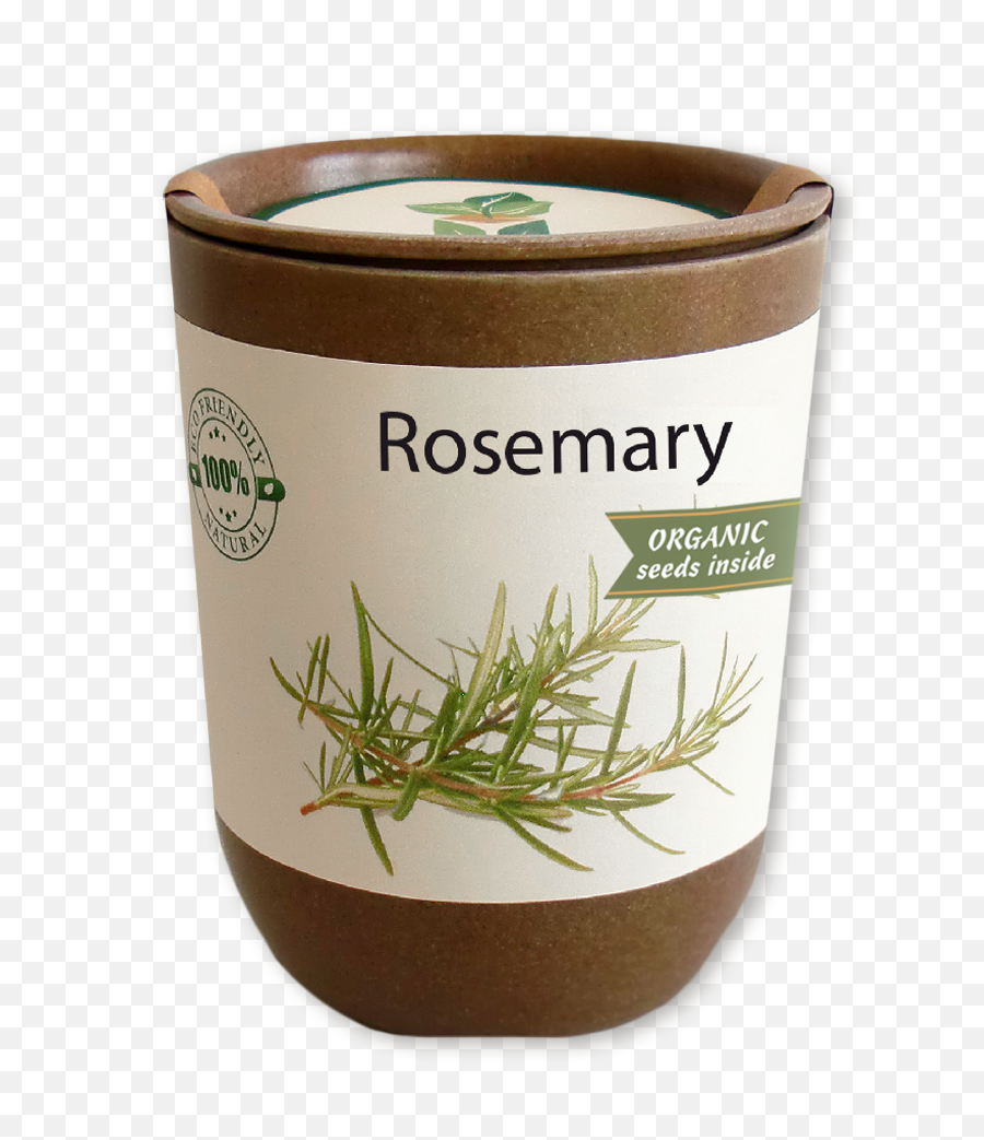 Rosemary - Portable Network Graphics Png,Rosemary Png