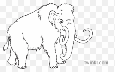 Woolly Mammoth Geography History Extinct Animals Secondary - Mammoth Black And White Png,Mammoth Png