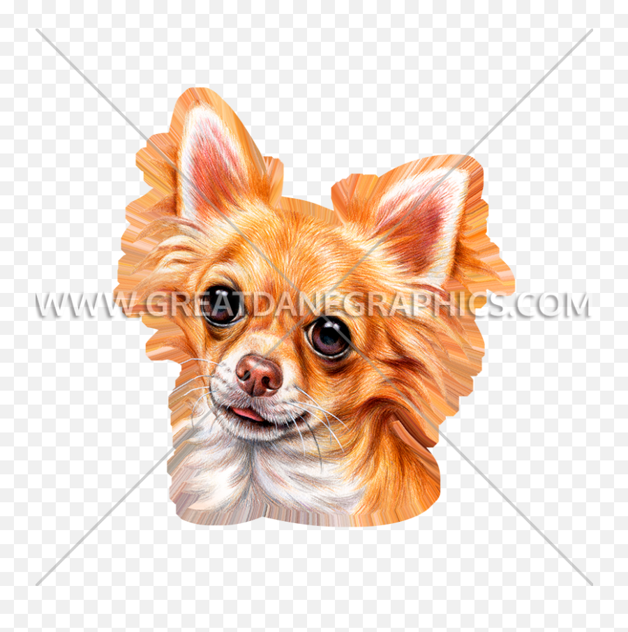 Long Haired Chihuahua Production Ready Artwork For T - Shirt Chihuahua Png,Chihuahua Png