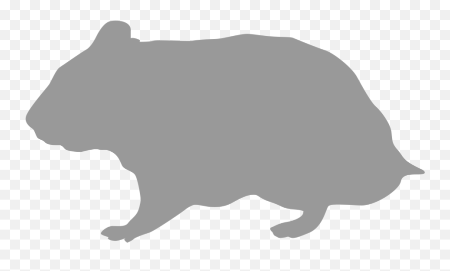 Rodent Hamster Silhouette Gerbil - Silueta Hamster Png,Rodent Png