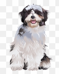 Tshirt Png Shih Tzu