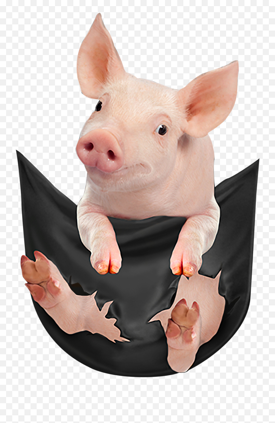 Pig In A Pocket Shirt Sweater Hoodie And Long Sleeve T - Shirt Domestic Pig Png,Shirt Pocket Png