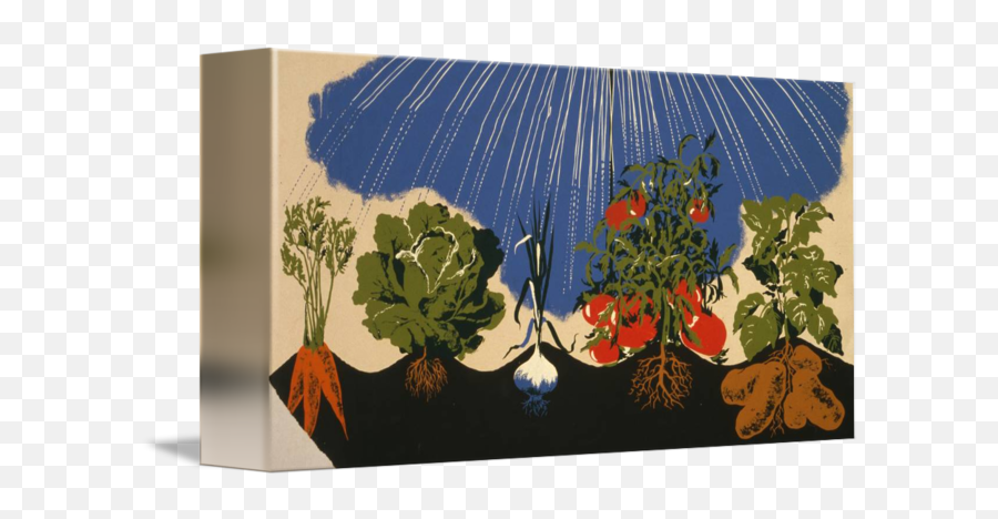 Vintage Vegetable Garden Illustration By Alleycatshirts Zazzle Png