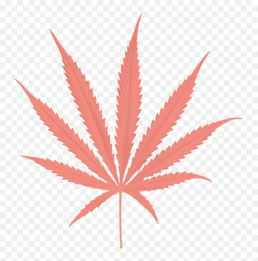 Whatu0027s The Right Weed For Me Paradiso Gardens - Marijuana Leaf Vector Grunge Png,Indica Icon