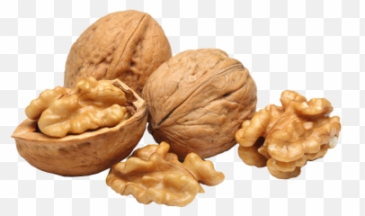 Download Walnut Transparent Png