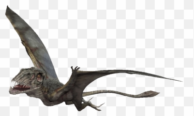 Pterodactyl Png 3 Image - Jurassic World Dimorphodon,Pterodactyl Png