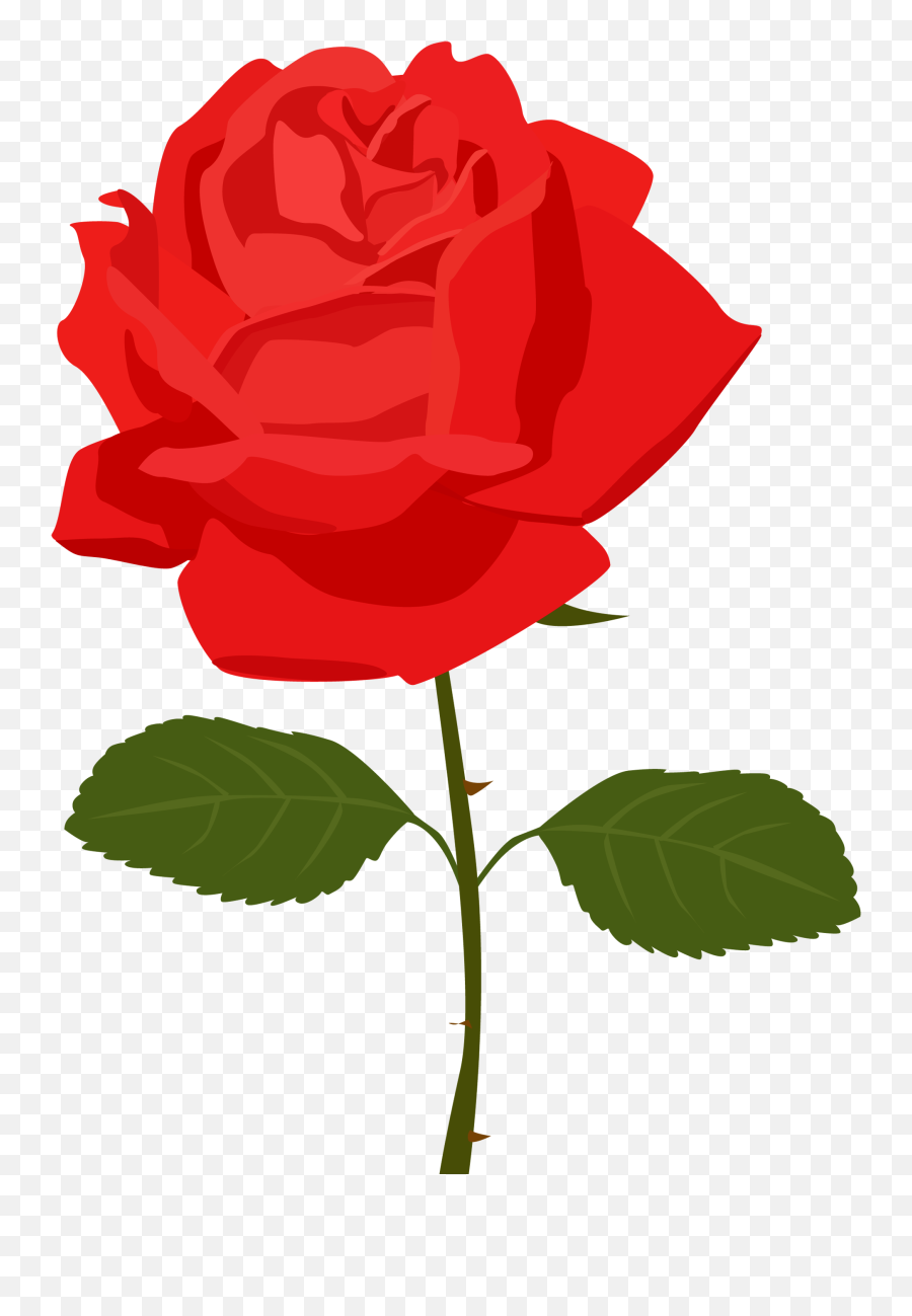 Rose Clipart Png Images - Transparent Background Rose Clipart,Red Rose Png
