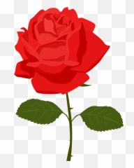Rose Clipart Png Images - Transparent Background Rose Clipart,Red Rose Png