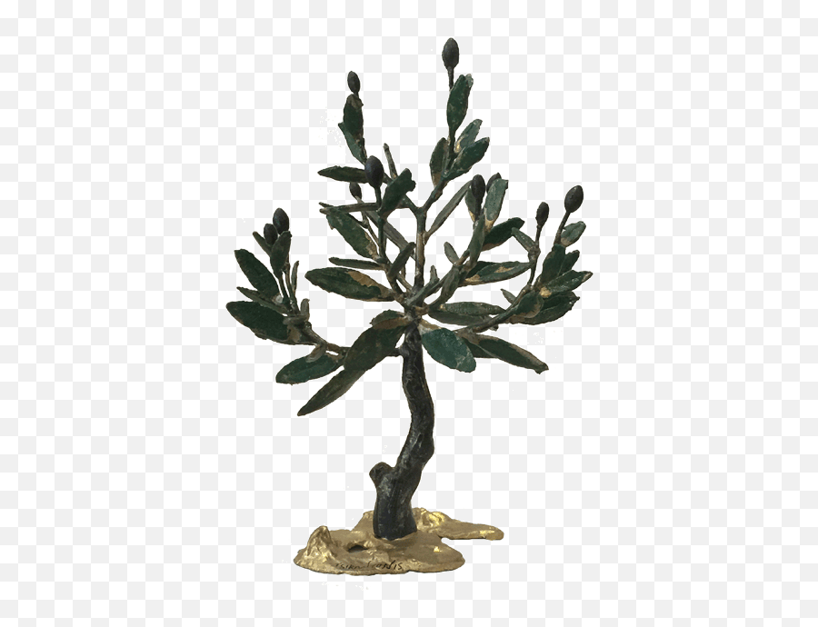 Download Hd Bronze Olive Tree - Olive Transparent Png Image Olive,Olive Tree Png