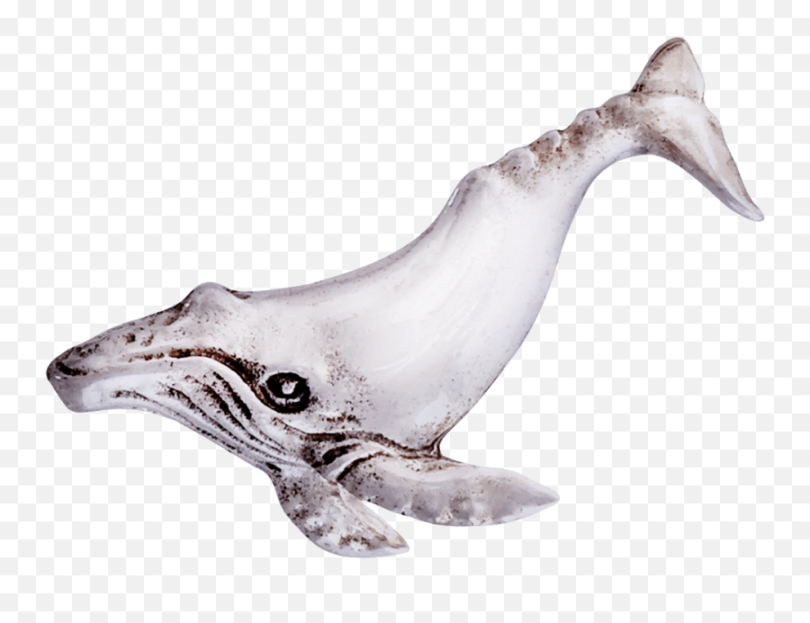Humpback Whale Pin - Humpback Whale Png,Humpback Whale Png