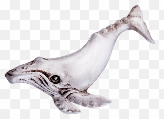 Humpback Whale Pin - Humpback Whale Png,Humpback Whale Png