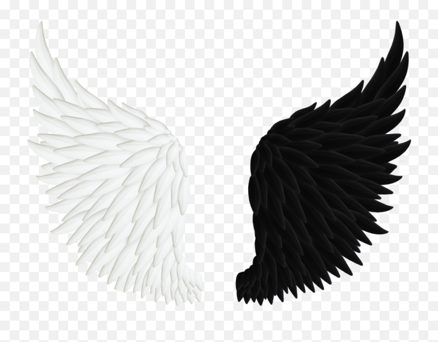 Pin By Ginger Liebowitz - Black And White Wings Png,Demon Wings Png