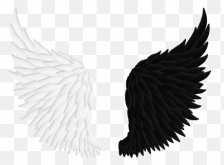 Pin By Ginger Liebowitz - Black And White Wings Png,Demon Wings Png