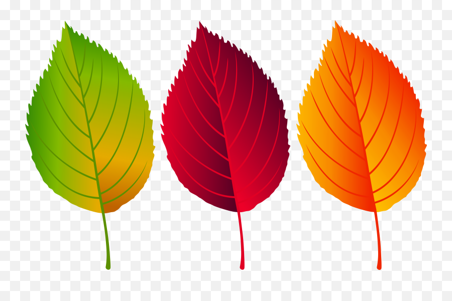 Free Fall Leaves Clip Art Download - Colorful Fall Leaves Png,Fall Leave Png