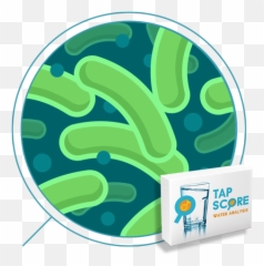 Independent Lab Water Tests For Home And Business - Transparent Background Bacteria Png,Bacteria Transparent Background