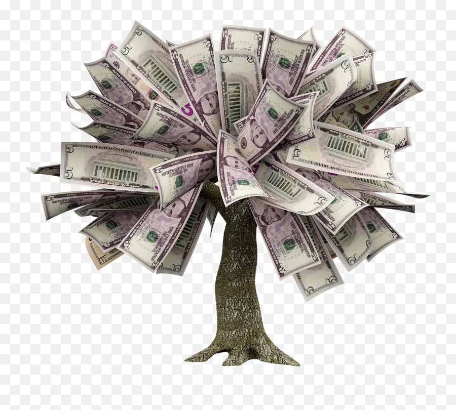 Hd How To Grow A Money Tree Free - Tree Made Of Money Png,Money Tree Png