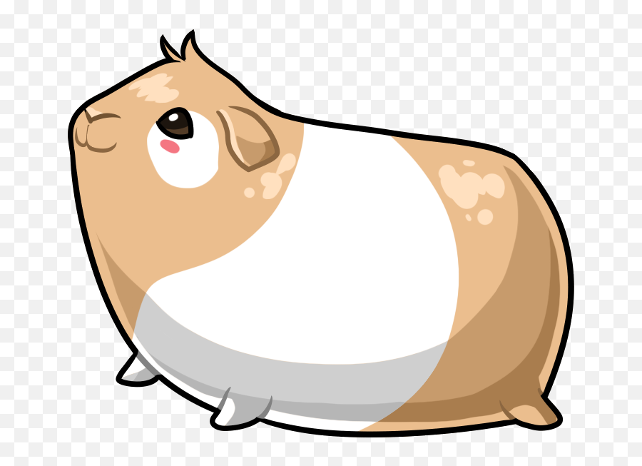 Download Guinea Pig - I Love Guinea Pigs Png Image With No Drawing A Cute Guinea Pig,Pigs Png
