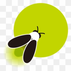 World Firefly Day 2019 Fireflyers Png Fireflies