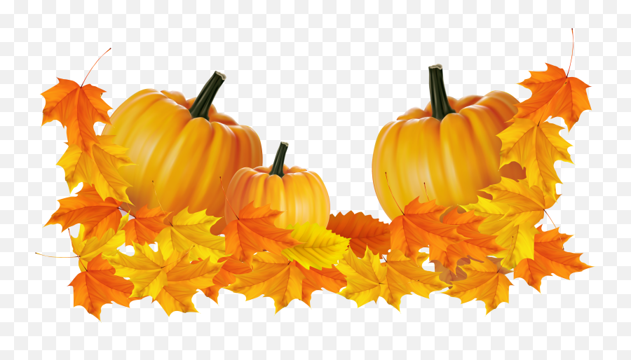 Thanksgiving Pumpkin Clipart Png - Transparent Background Thanksgiving Png,Pumpkins Png