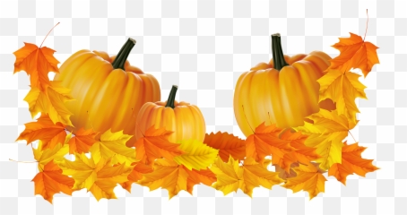 Thanksgiving Pumpkin Clipart Png - Transparent Background