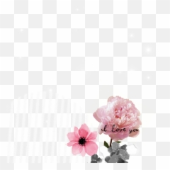 Rose Sticker - Peony Flower Png,Dogwood Png