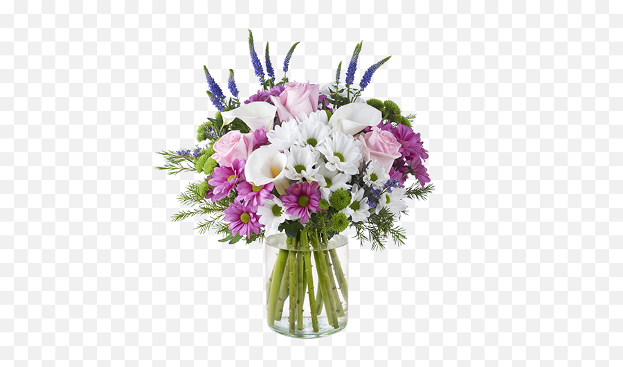 Ice Cream Chrysanthemums And Roses - Mazzo Di Fiori Per Matrimonio Png,Chrysanthemum Png