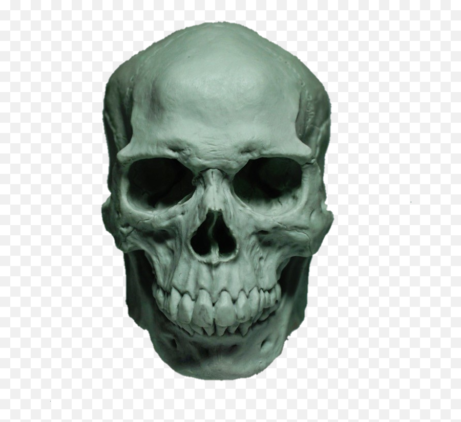 Skull Face Skullhead Skullface Bone Eyes Nose Caveira - Skull Png,Skull Face Png
