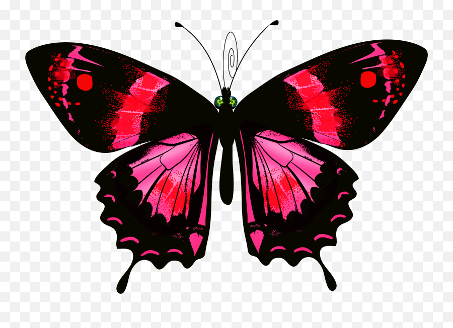 Luna Moth Clipart Transparent - Schmetterling Auf Transparenter Hintergrund Transparente Cliparts Png,Moth Transparent Background